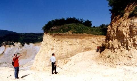 Lokalitet Pogorišče, 2001. godine